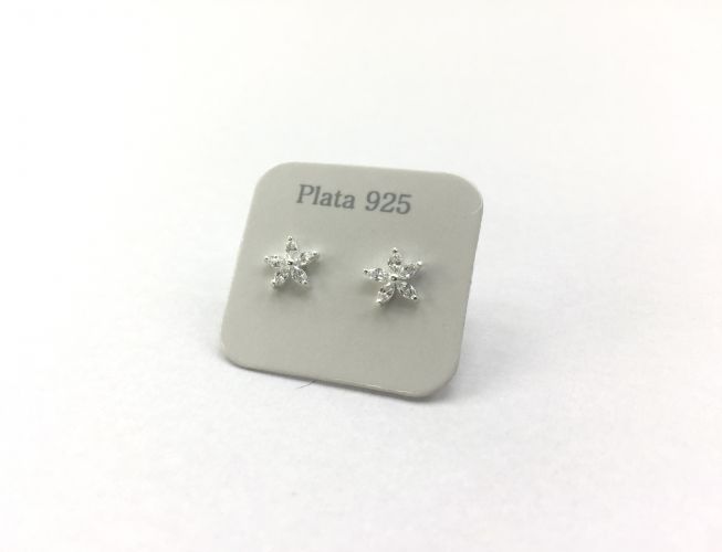 <p>Aros De Plata Con Cubics Flor Chico</p>

