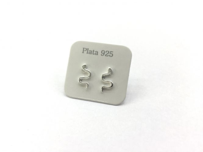 <p>Aros De Plata Serpiente</p>
